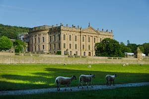 What’s on at Chatsworth
