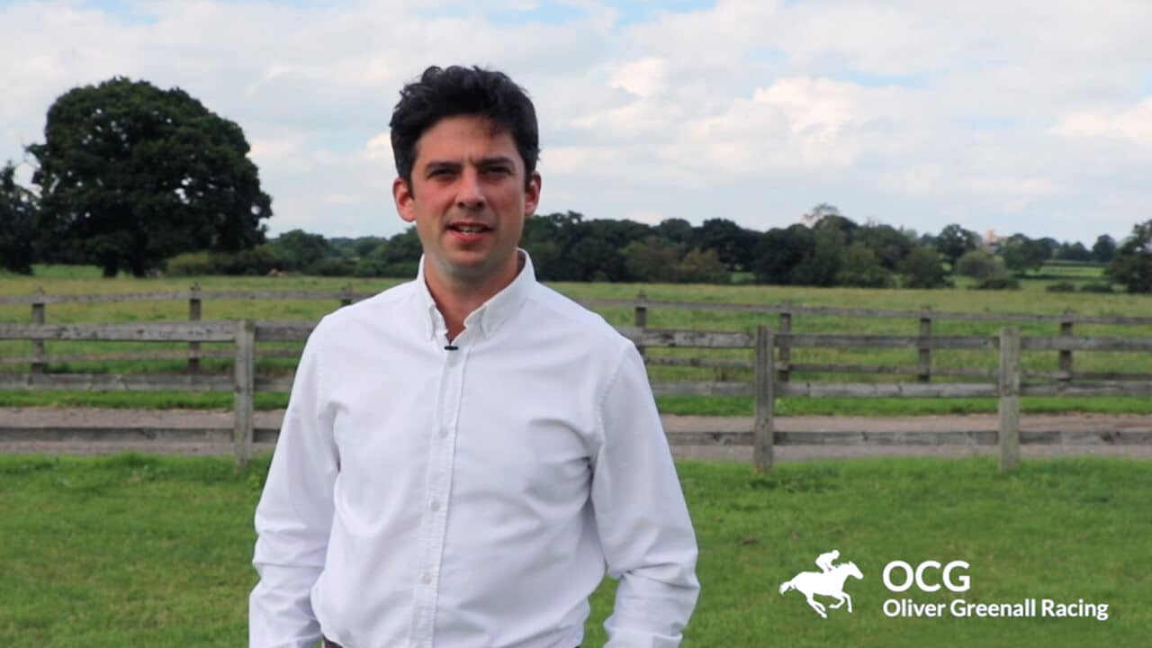 Racehorse Ownership options with OCG