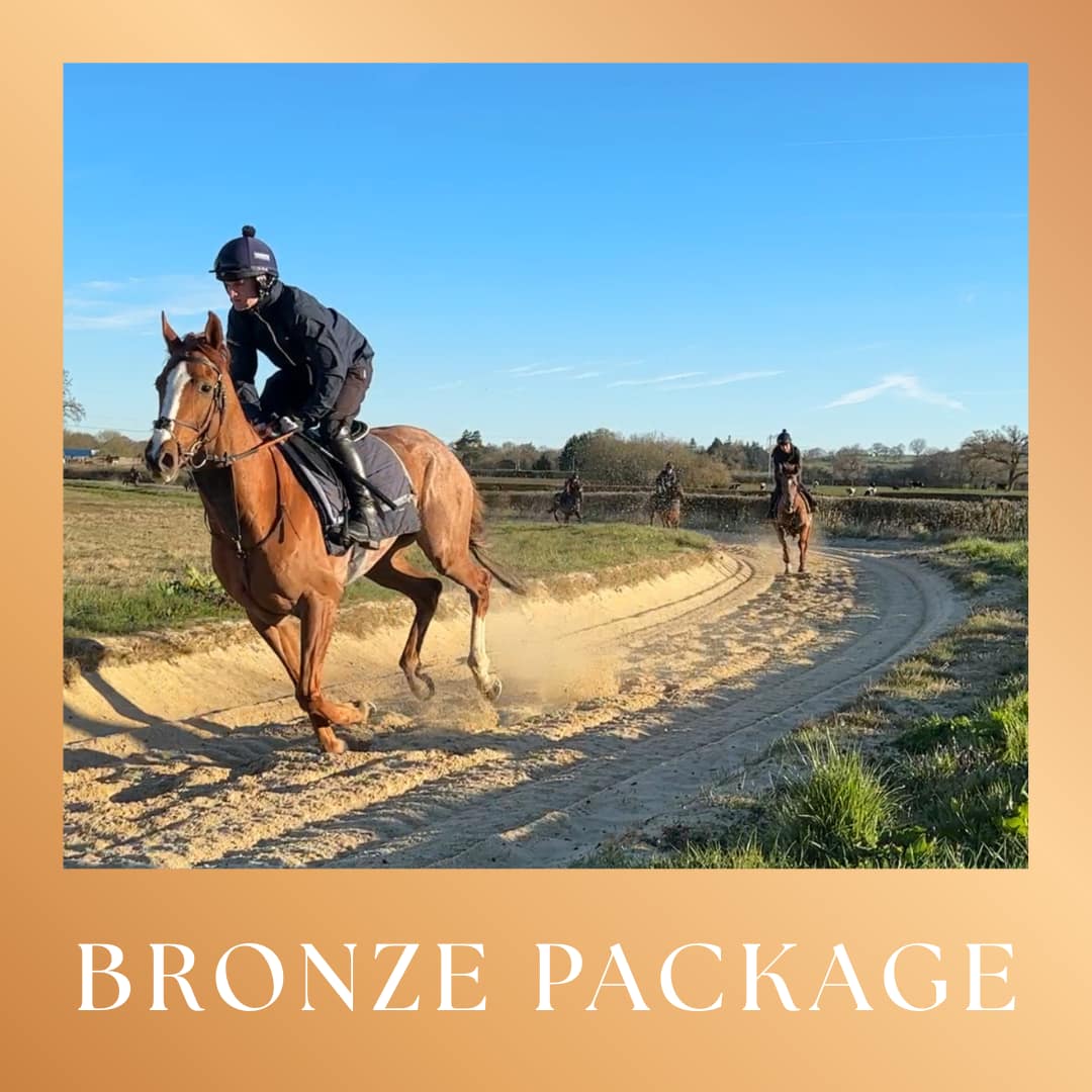 Bronze Package