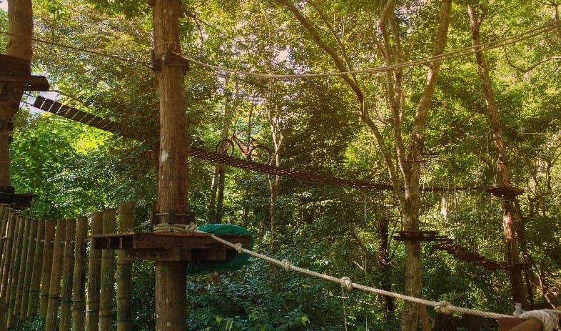 Places to treat your dad on Father’s Day in the Peak District, Go Ape